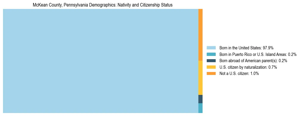 Treemap showing the population distribution by nativity and citizenship status in McKean County, Pennsylvania based on U.S. Census data.
