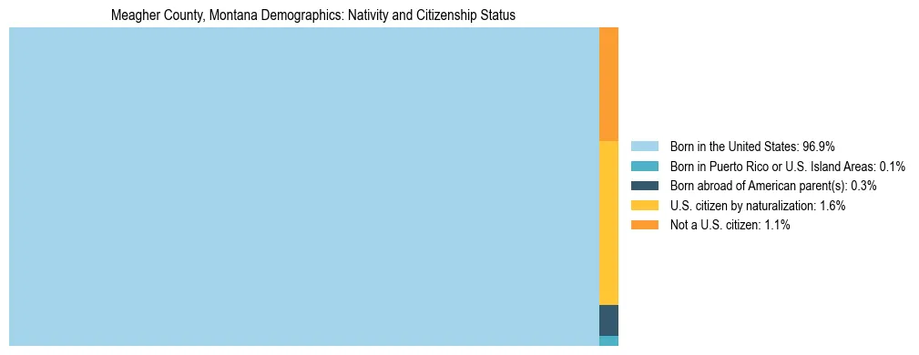 Treemap showing the population distribution by nativity and citizenship status in Meagher County, Montana based on U.S. Census data.