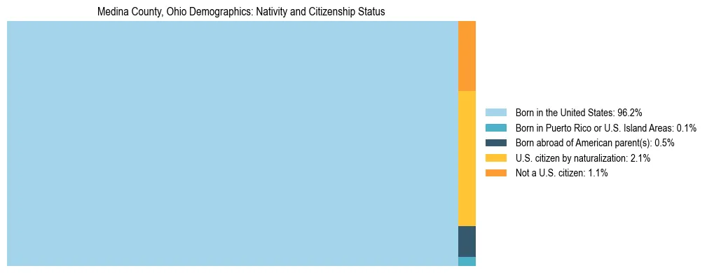 Treemap showing the population distribution by nativity and citizenship status in Medina County, Ohio based on U.S. Census data.