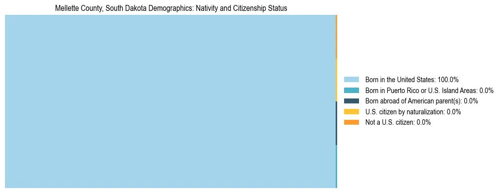 Treemap showing the population distribution by nativity and citizenship status in Mellette County, South Dakota based on U.S. Census data.