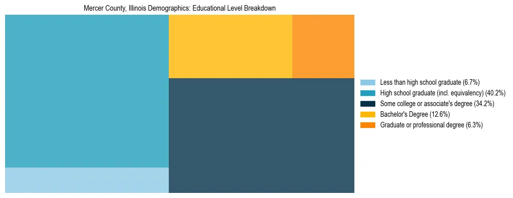 Treemap chart illustrating the educational attainment breakdown for population 25 years and over in Mercer County, Illinois.