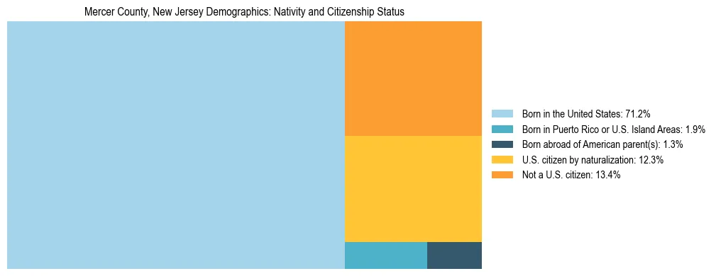 Treemap showing the population distribution by nativity and citizenship status in Mercer County, New Jersey based on U.S. Census data.