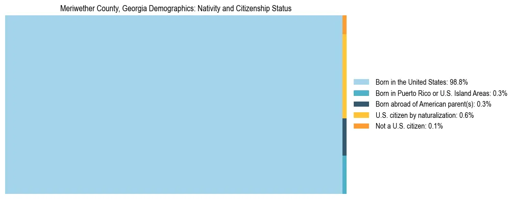 Treemap showing the population distribution by nativity and citizenship status in Meriwether County, Georgia based on U.S. Census data.