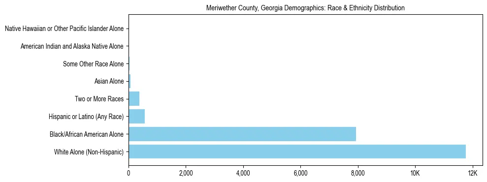 Race and Ethnicity Distribution Chart for Meriwether County, Georgia