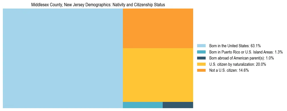 Treemap showing the population distribution by nativity and citizenship status in Middlesex County, New Jersey based on U.S. Census data.