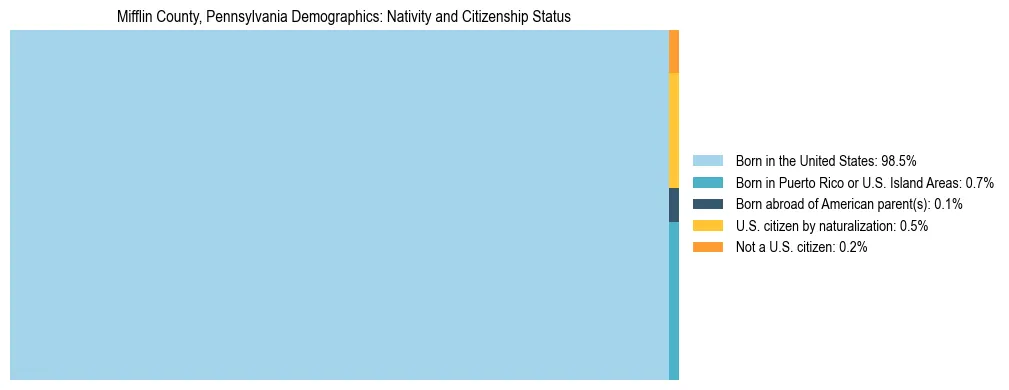 Treemap showing the population distribution by nativity and citizenship status in Mifflin County, Pennsylvania based on U.S. Census data.