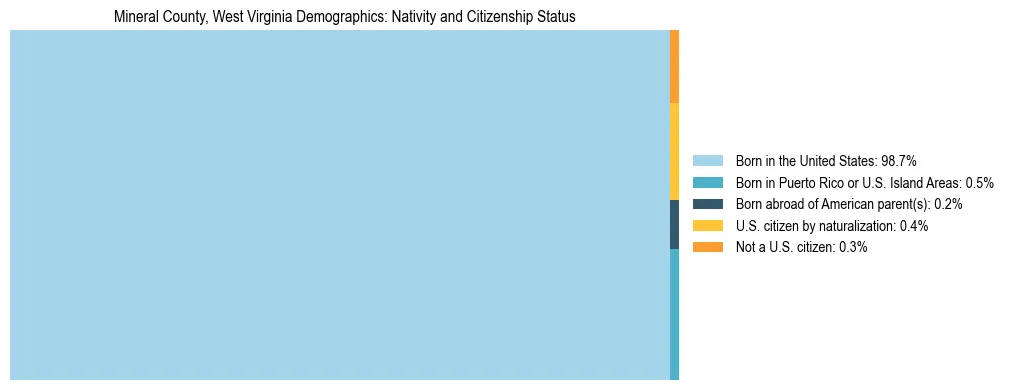 Treemap showing the population distribution by nativity and citizenship status in Mineral County, West Virginia based on U.S. Census data.