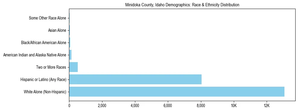 Race and Ethnicity Distribution Chart for Minidoka County, Idaho
