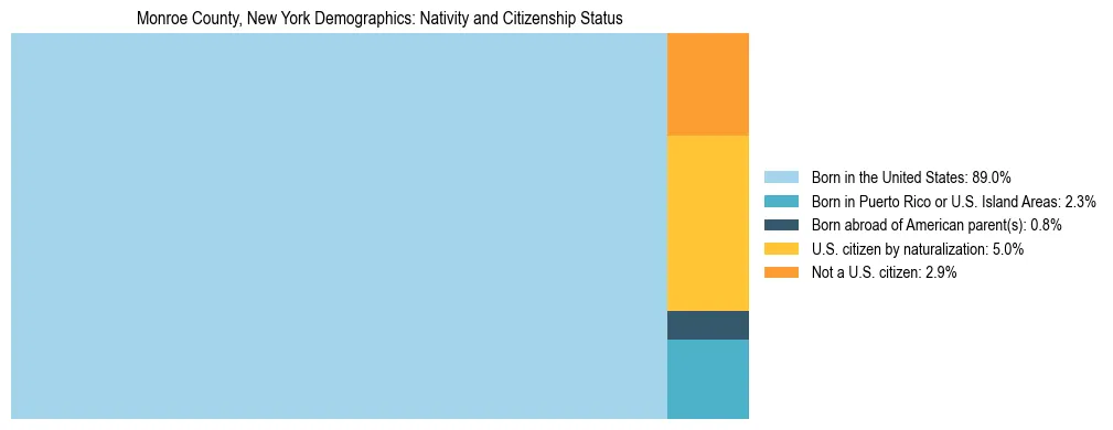 Treemap showing the population distribution by nativity and citizenship status in Monroe County, New York based on U.S. Census data.