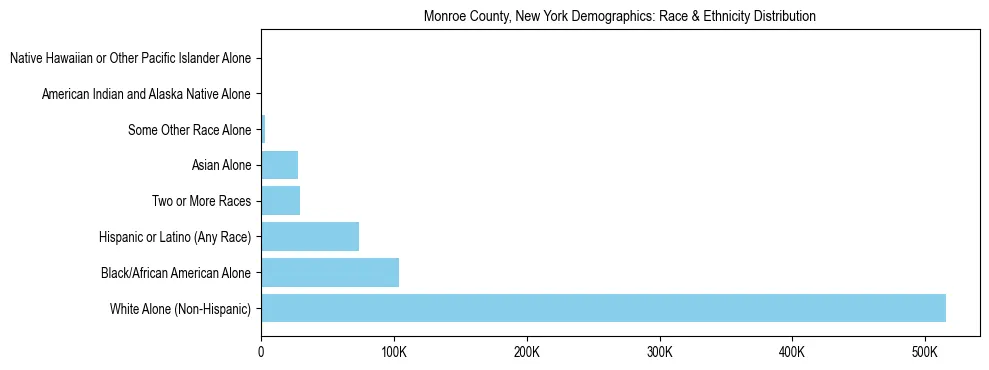 Race and Ethnicity Distribution Chart for Monroe County, New York