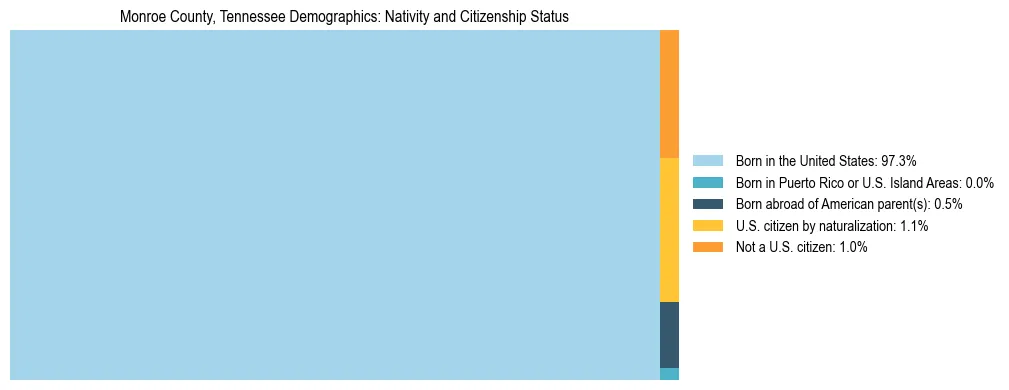 Treemap showing the population distribution by nativity and citizenship status in Monroe County, Tennessee based on U.S. Census data.