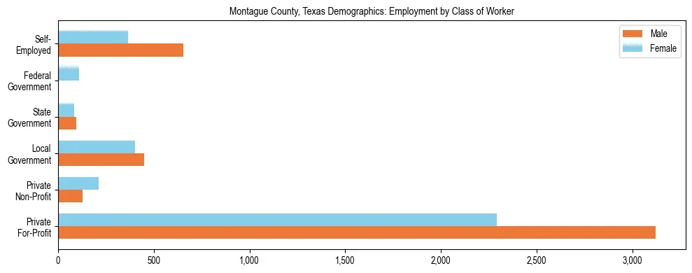 Horizontal bar chart showing employment distribution by class of worker and gender in Montague County, Texas, based on 2023 ACS data.