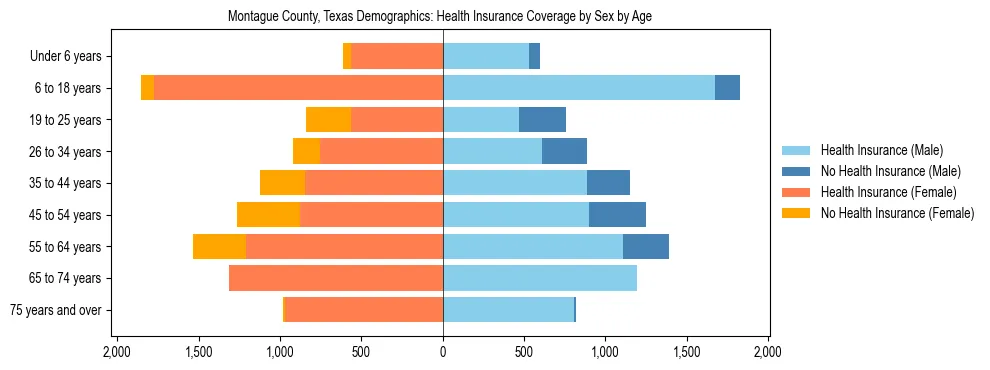 Pyramid chart showing health insurance coverage by age and sex in Montague County, Texas.