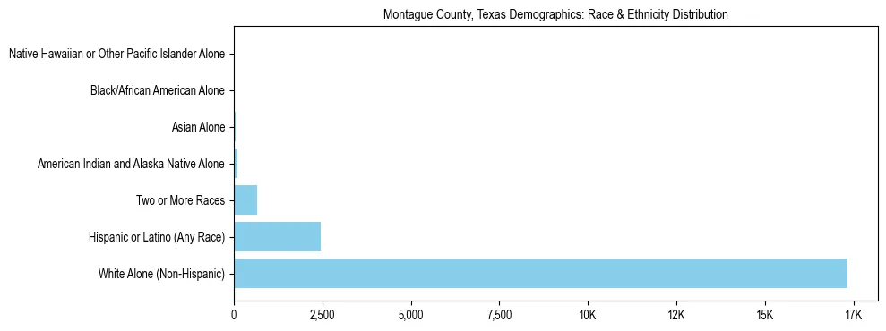 Race and Ethnicity Distribution Chart for Montague County, Texas