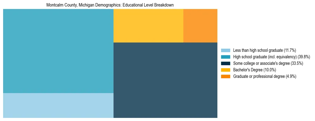 Treemap chart illustrating the educational attainment breakdown for population 25 years and over in Montcalm County, Michigan.