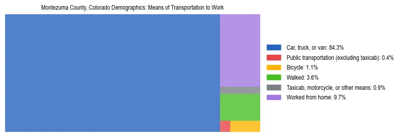 Treemap showing means of transportation to work distribution in Montezuma County, Colorado.