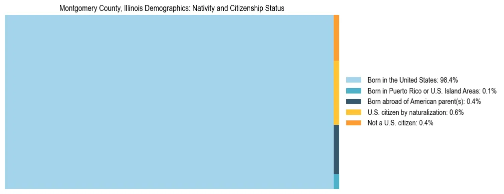 Treemap showing the population distribution by nativity and citizenship status in Montgomery County, Illinois based on U.S. Census data.