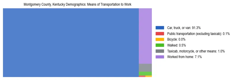 Treemap showing means of transportation to work distribution in Montgomery County, Kentucky.