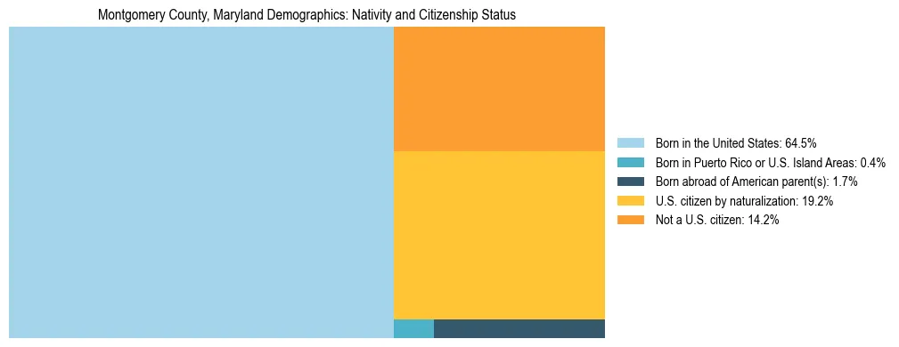 Treemap showing the population distribution by nativity and citizenship status in Montgomery County, Maryland based on U.S. Census data.