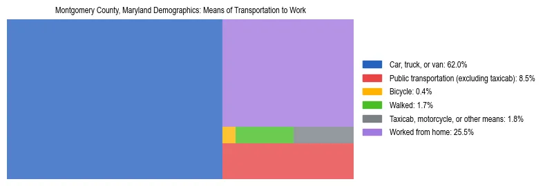 Treemap showing means of transportation to work distribution in Montgomery County, Maryland.
