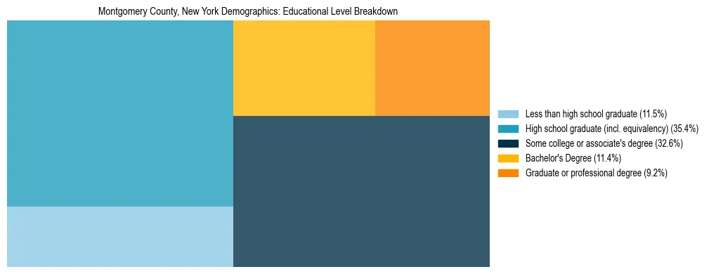 Treemap chart illustrating the educational attainment breakdown for population 25 years and over in Montgomery County, New York.