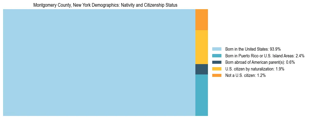 Treemap showing the population distribution by nativity and citizenship status in Montgomery County, New York based on U.S. Census data.