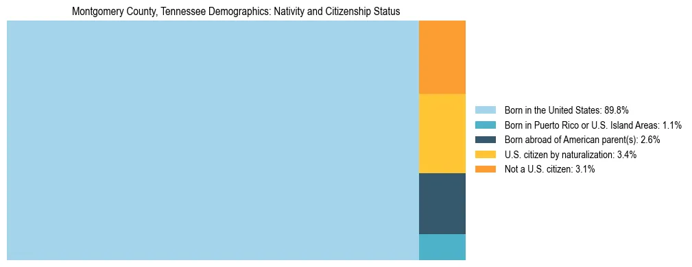 Treemap showing the population distribution by nativity and citizenship status in Montgomery County, Tennessee based on U.S. Census data.