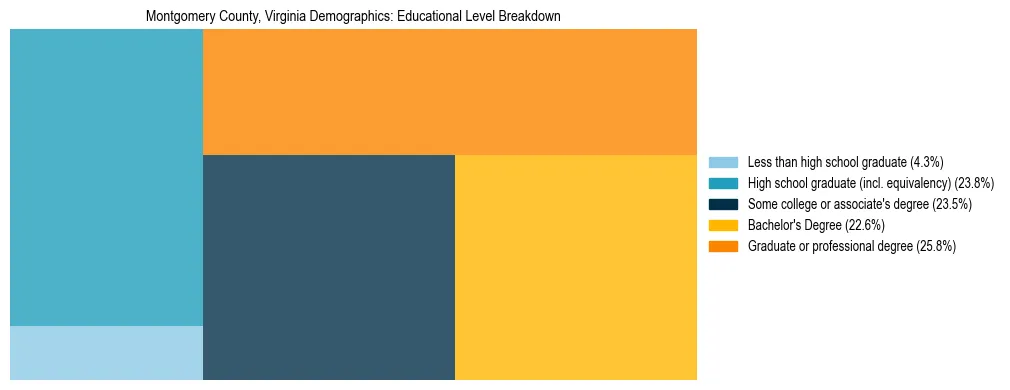 Treemap chart illustrating the educational attainment breakdown for population 25 years and over in Montgomery County, Virginia.