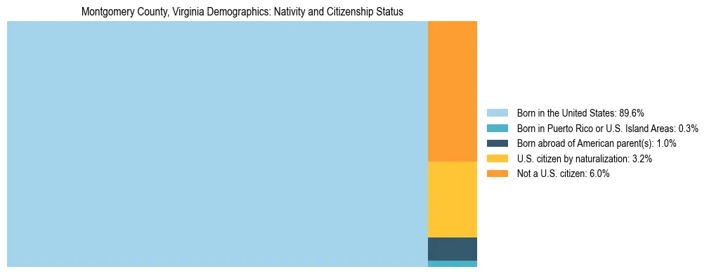 Treemap showing the population distribution by nativity and citizenship status in Montgomery County, Virginia based on U.S. Census data.