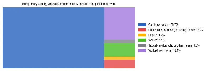 Treemap showing means of transportation to work distribution in Montgomery County, Virginia.