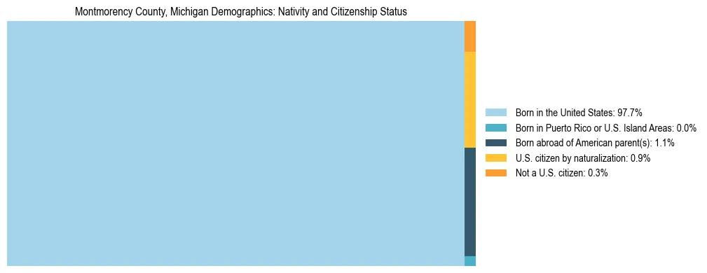 Treemap showing the population distribution by nativity and citizenship status in Montmorency County, Michigan based on U.S. Census data.