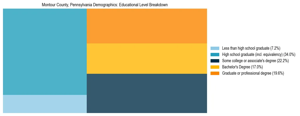 Treemap chart illustrating the educational attainment breakdown for population 25 years and over in Montour County, Pennsylvania.