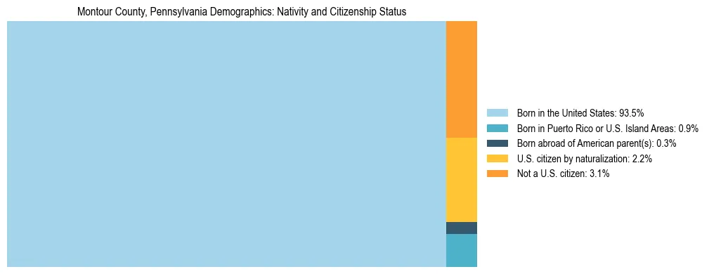 Treemap showing the population distribution by nativity and citizenship status in Montour County, Pennsylvania based on U.S. Census data.