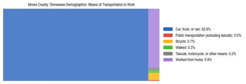 Treemap showing means of transportation to work distribution in Moore County, Tennessee.