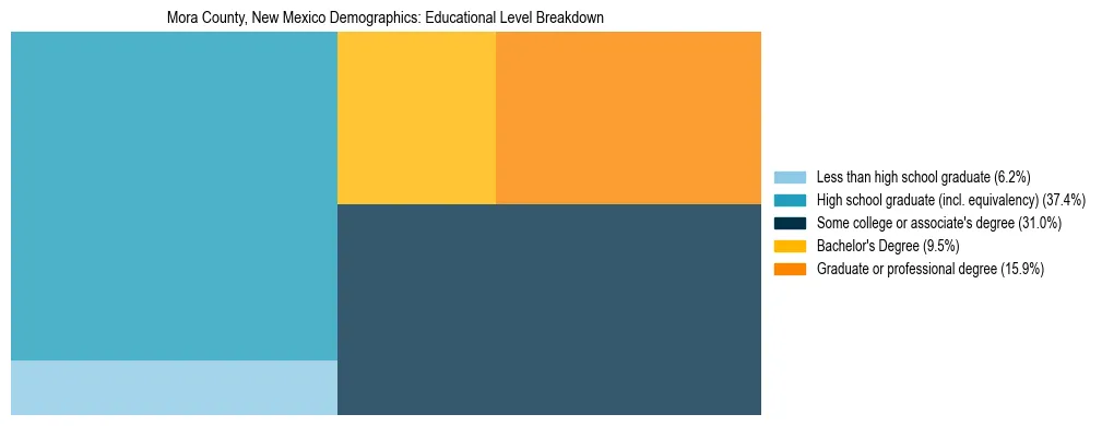 Treemap chart illustrating the educational attainment breakdown for population 25 years and over in Mora County, New Mexico.