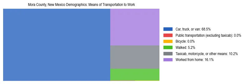 Treemap showing means of transportation to work distribution in Mora County, New Mexico.