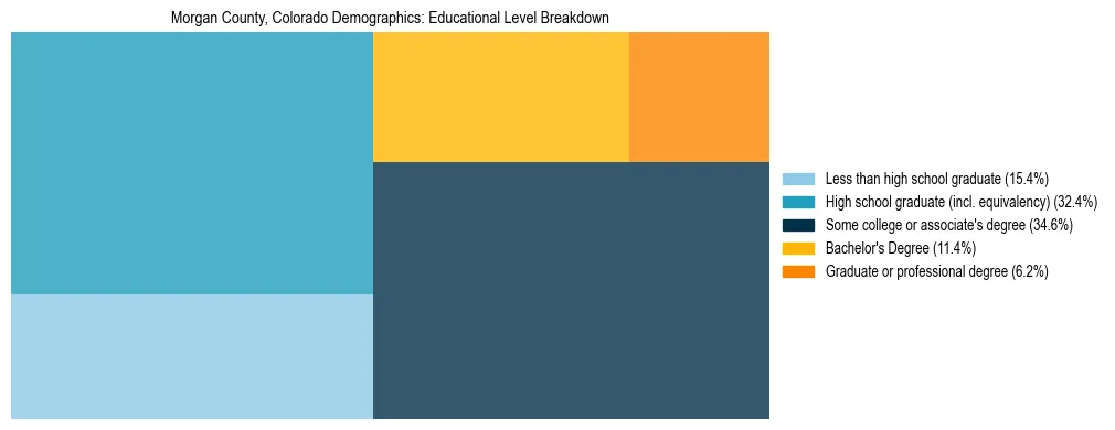 Treemap chart illustrating the educational attainment breakdown for population 25 years and over in Morgan County, Colorado.