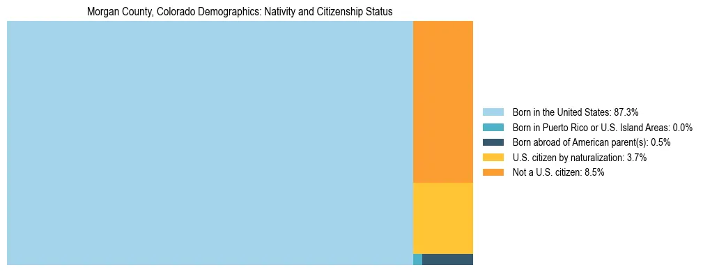 Treemap showing the population distribution by nativity and citizenship status in Morgan County, Colorado based on U.S. Census data.