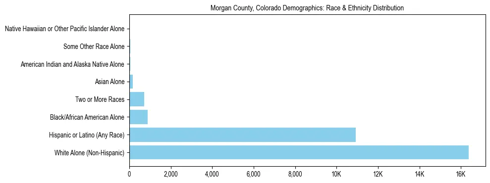 Race and Ethnicity Distribution Chart for Morgan County, Colorado
