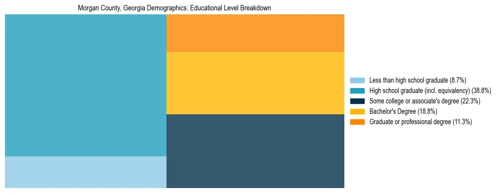 Treemap chart illustrating the educational attainment breakdown for population 25 years and over in Morgan County, Georgia.