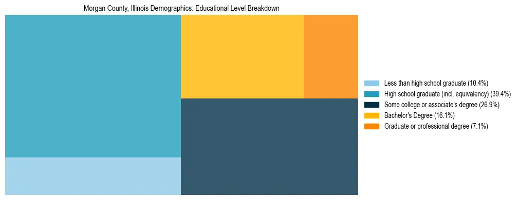 Treemap chart illustrating the educational attainment breakdown for population 25 years and over in Morgan County, Illinois.