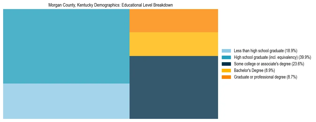 Treemap chart illustrating the educational attainment breakdown for population 25 years and over in Morgan County, Kentucky.