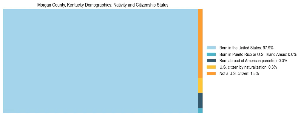 Treemap showing the population distribution by nativity and citizenship status in Morgan County, Kentucky based on U.S. Census data.