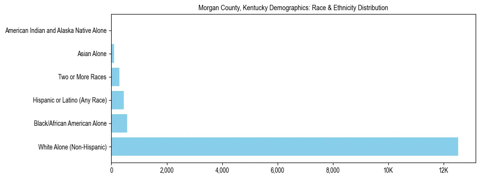 Race and Ethnicity Distribution Chart for Morgan County, Kentucky