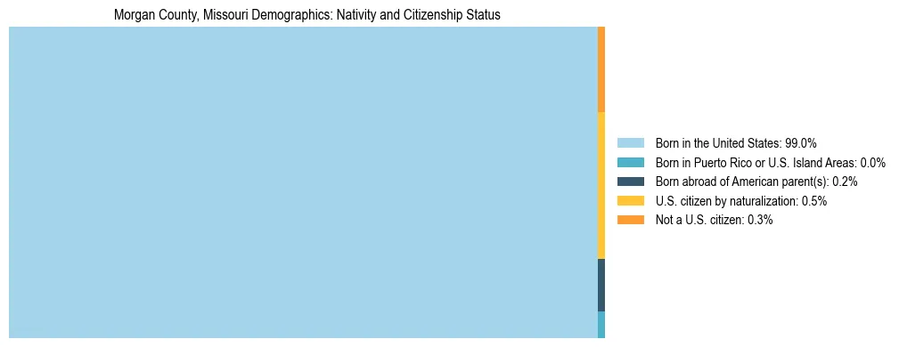 Treemap showing the population distribution by nativity and citizenship status in Morgan County, Missouri based on U.S. Census data.