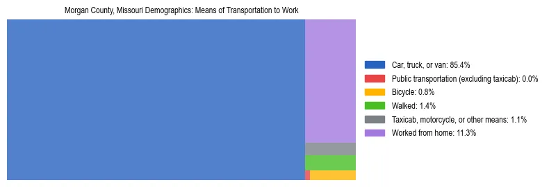 Treemap showing means of transportation to work distribution in Morgan County, Missouri.