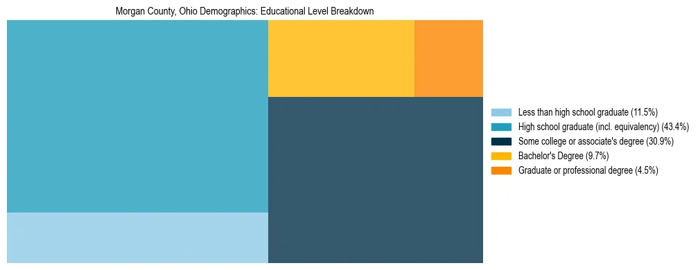 Treemap chart illustrating the educational attainment breakdown for population 25 years and over in Morgan County, Ohio.