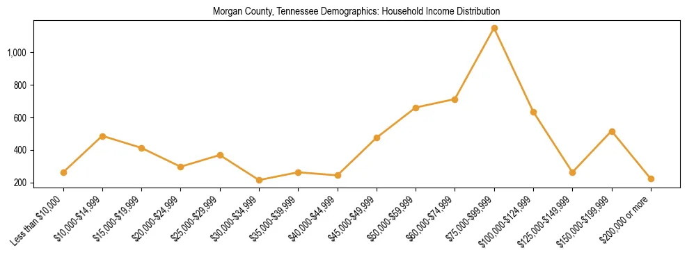 Horizontal bar chart showing household income distribution in Morgan County, Tennessee.
