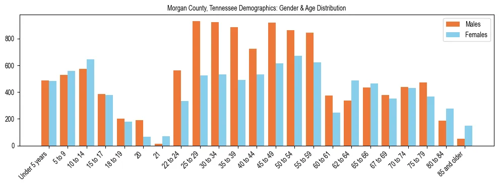 Bar chart showing the population distribution of Morgan County, Tennessee by age group and gender, based on 2023 ACS data.