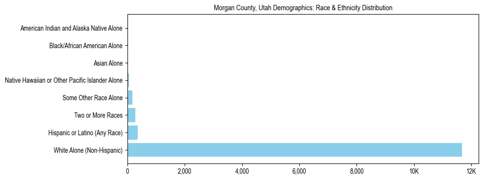 Race and Ethnicity Distribution Chart for Morgan County, Utah